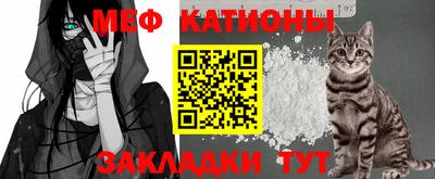 стаф Гай