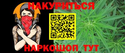 стаф Гай