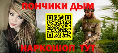 стаф Гай