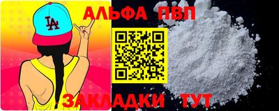 стаф Гай