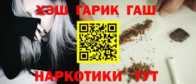 стаф Гай