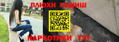 стаф Гай